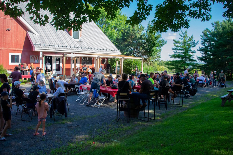 Brasserie Wilsy